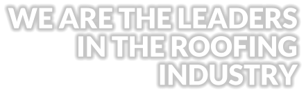 WE ARE THE LEADERS IN THE ROOFING INDUSTRY